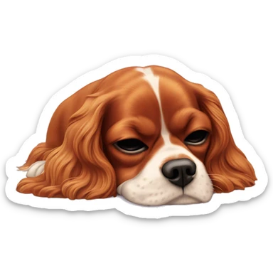 Cavalier King Charles spaniel sleeping on back sticker