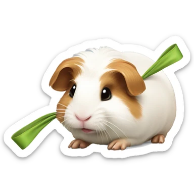 guineapig with a bow sticker