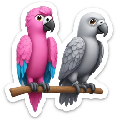 Pink parrot and gray parrot sticker
