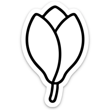 minimalist top-down view of a magnolia flower bud with light pink petals, fully visible against a plain white background, no extra details sticker