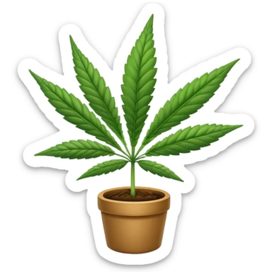 cannabise sticker