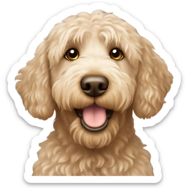 Labradoodle  sticker