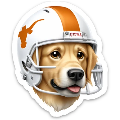 Golden retriever dog wearing university of Texas football helmet  sticker