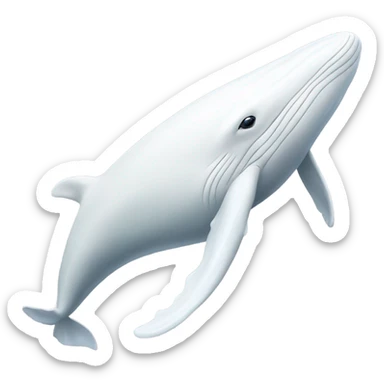 white whale , underside sticker