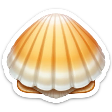 pretty white beach shell sticker