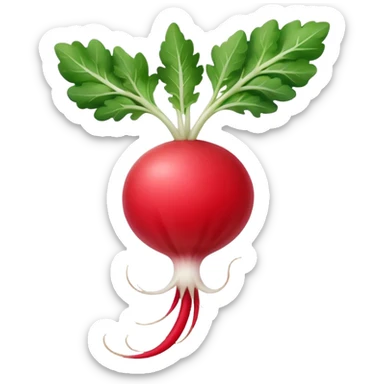 smaller radish UK plant with a bit of white on the bottom of the radish sticker