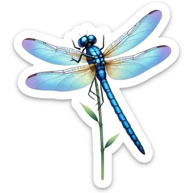 blue dragonfly sticker