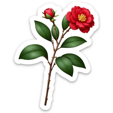single red Camellia flower, stem sticker