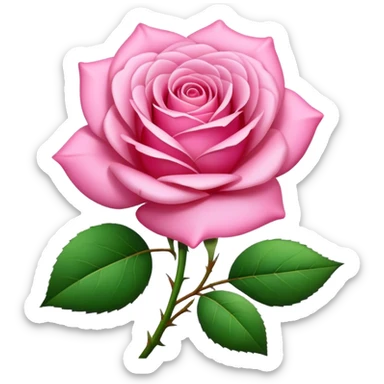 Pink rose asterisk sticker