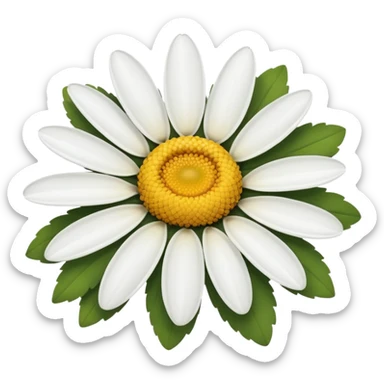 daisy flower sticker