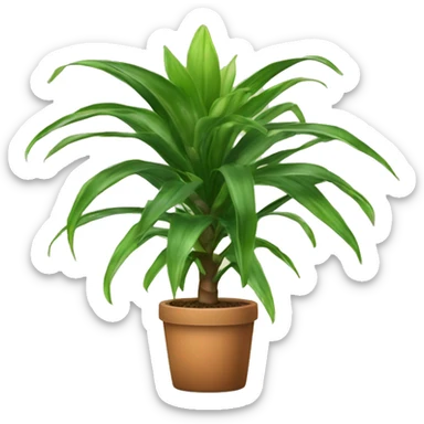 dracaena houseplant sticker