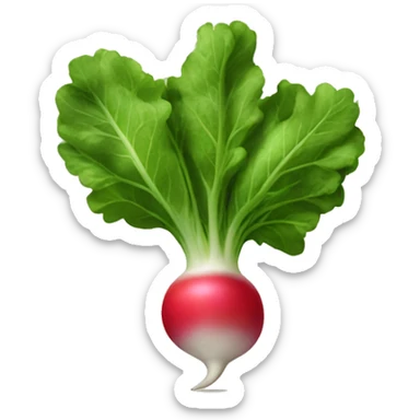 Radish sticker