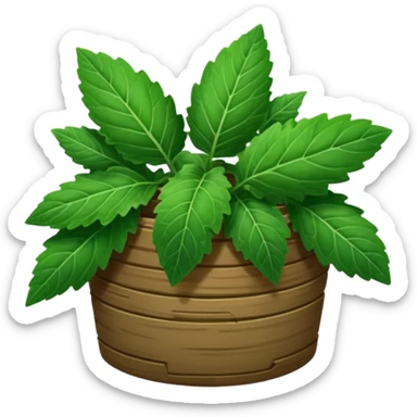 stack of patchouli leaves no basket just leaves sticker