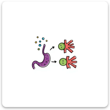 Anatomical diagram of anti-diabetic mechanism: purple pancreas releasing blue insulin molecules, red blood vessels with yellow glucose particles, green cell receptors accepting insulin. Hand-drawn illustration showing glucose regulation with arrows indicating reduced blood sugar levels. sticker