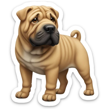 Sharpei  sticker