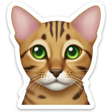 Bengal cat with green eyes sticker