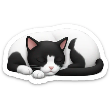 black and white cat sleeping  sticker
