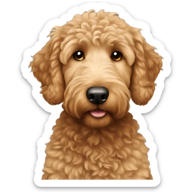 Boy light brown Golden doodle  sticker