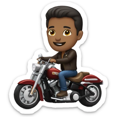 Brunette Man riding a harley sticker