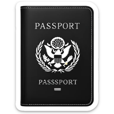 black passport with minimal silver details sticker
