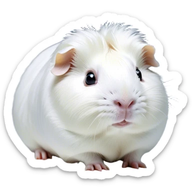 Cinematic Noble White Guinea Pig Portrait Emoji, Poised and regal, with a compact, chubby build and a pristine, well-groomed pure white fur, deep-set soulful dark eyes, Simplified yet sharp and sophisticated features, highly detailed, glowing with a soft, dignified glow, high shine, intelligent and sweet, stylized with an air of gentle purity, focused and attentive, soft glowing outline, capturing the essence of a watchful and confident little companion, so majestic it feels as though it could scurry out of the screen with effortless authority! sticker