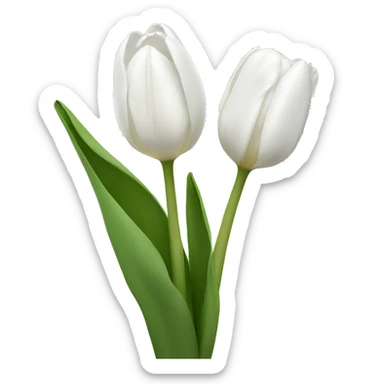 White tulips sticker