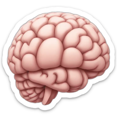 Brain 🧠 sticker