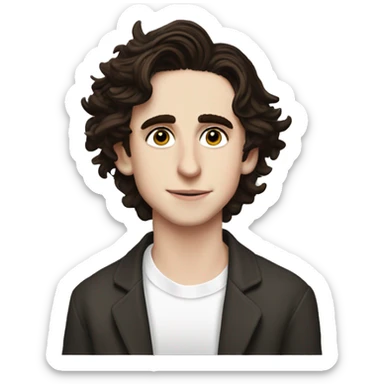 Timothée chalamet  sticker