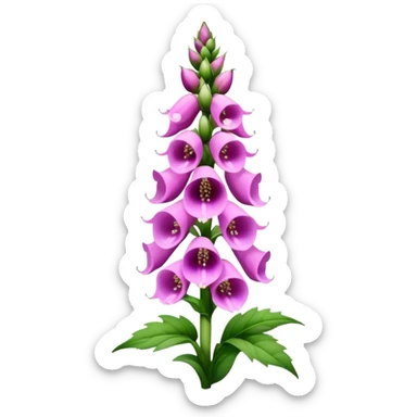 foxglove  sticker