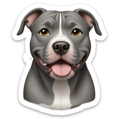Grey pitbull without white sticker