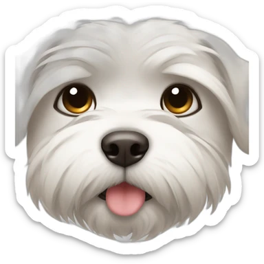 Maltese face falling asleep sticker