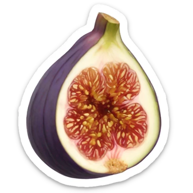 Half of a Fig fruit with a border sticker