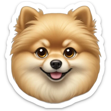 Beige Toy Pomeranian with darker snout sticker