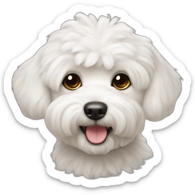 Dog bichon maltés sticker