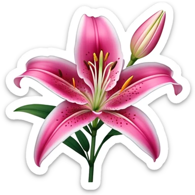 single Deep Pink Oriental Lily with White Edge, straight stem sticker