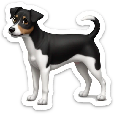 Black dog Jack Russell Terrier full body sticker