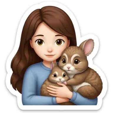 dark chestnut haired girl hugging british golden chinchilla sticker