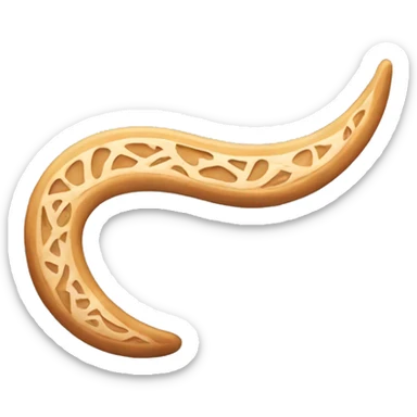 a boomerang with indiacas  sticker