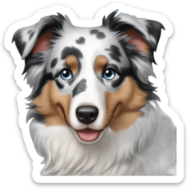 Blue Merle Australian Shepherd with Blue Eyes sticker