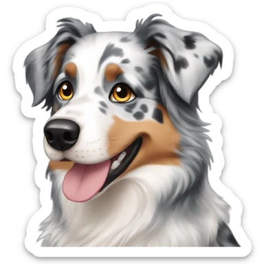 dog australian shepard blue merle sticker