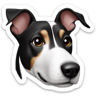 Black and white mix of a jack russel and a bullterrier with raise ears sticker