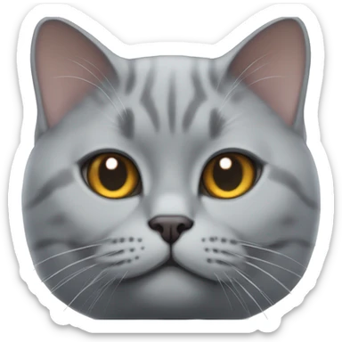 British shorthair cat face sticker