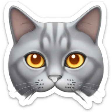 British grey fat cat orange eyes sticker