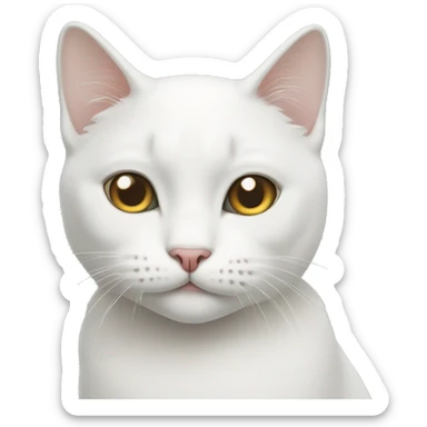 Successful White British cat  sticker