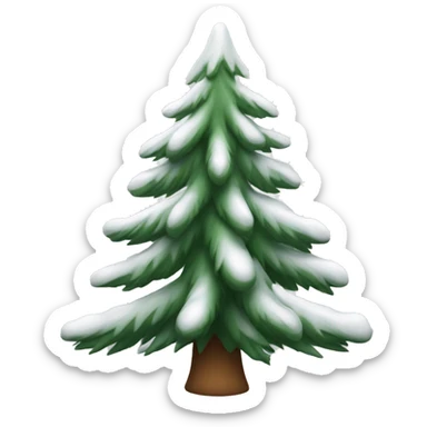  actual white fir christmas tree isolated.  sticker