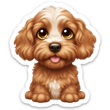 •	Puppy Eyes Emoji: Your Cavapoo looking up with big, heart-melting eyes. Maybe add sparkles or tiny hearts around the eyes to show how cute they are ( the color of do should be brown   sticker