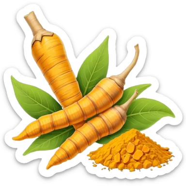 turmeric root dry and cut sticker