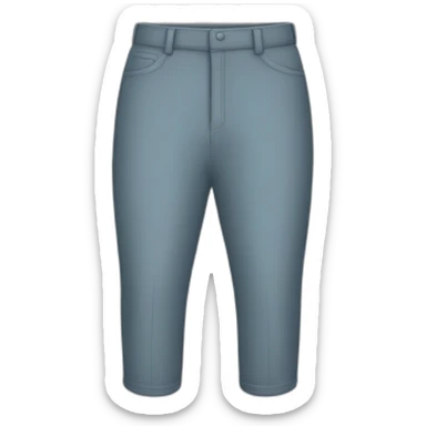 Pantalón  sticker
