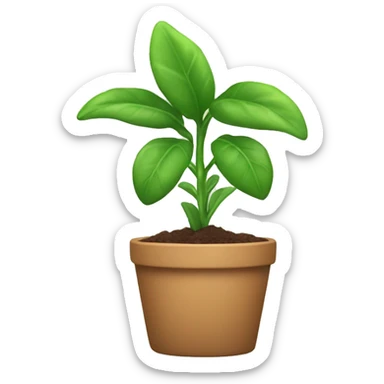 Plant with purol sticker