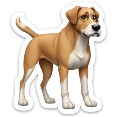Rottweiler pitbull mix  sticker
